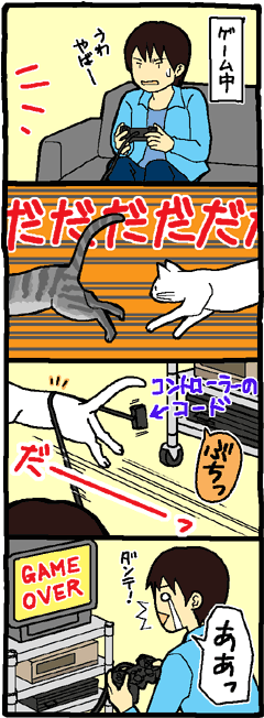 �L�Ԃ�������